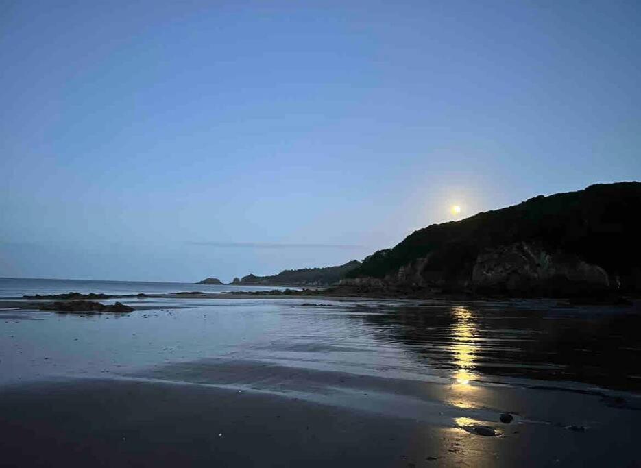 Apartmán Rhodewood House Saundersfoot Exteriér fotografie